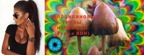 прущие грибы Армянск