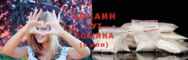 прущие грибы Армянск