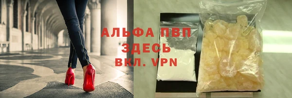 прущие грибы Армянск