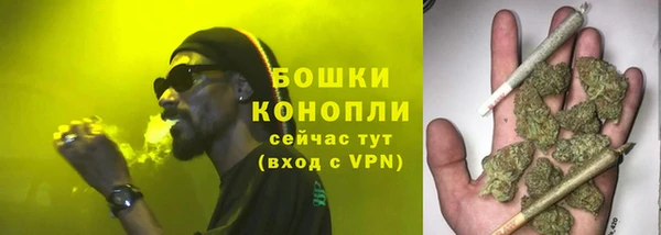 прущие грибы Армянск