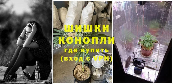 прущие крисы Арсеньев