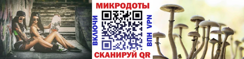 Галлюциногенные грибы ЛСД Медынь